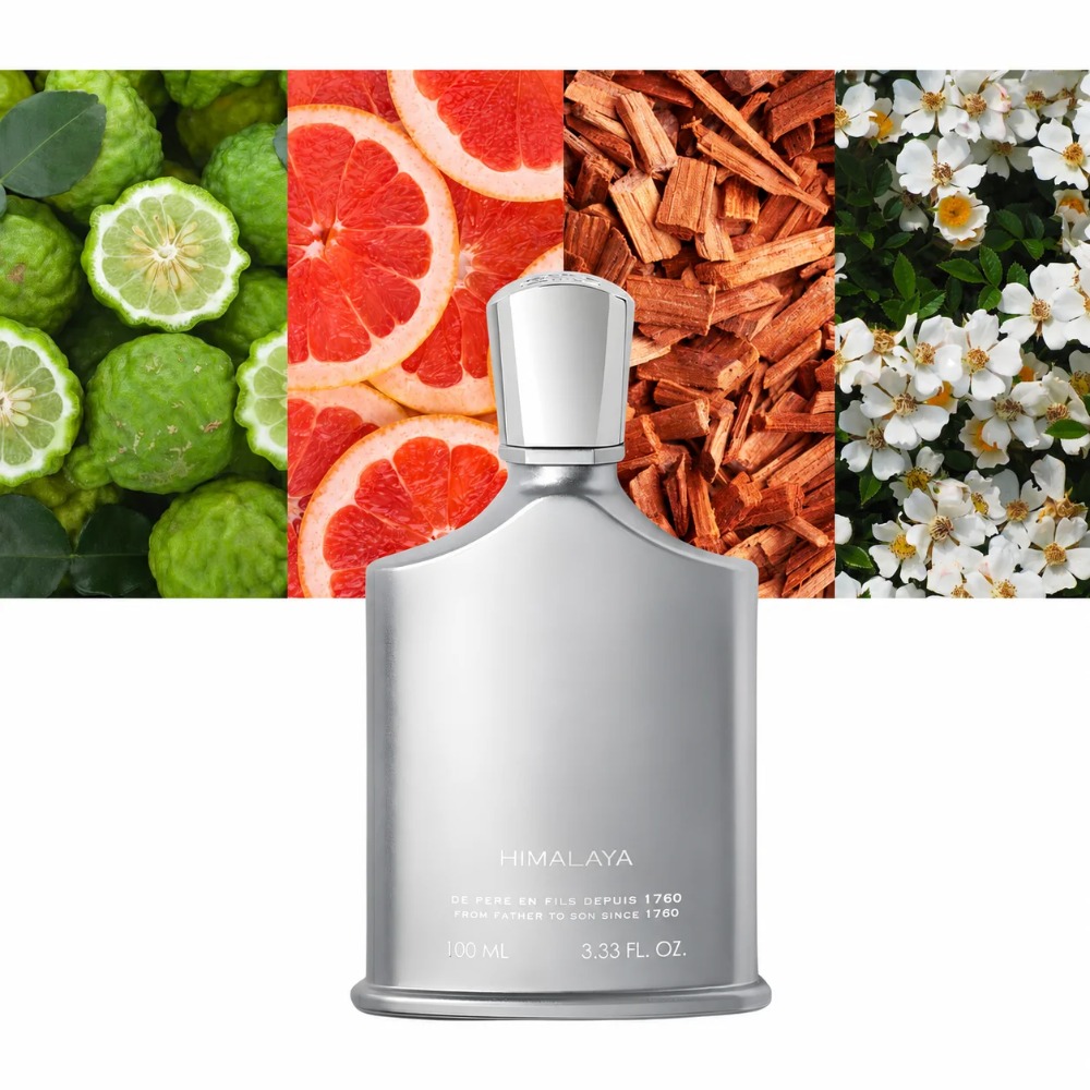 Aventus Duft für Männer 100ml  – Fragrance Perfume For Man Bewertung und Preis